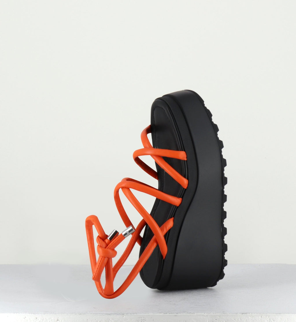 1Z5407D LOBSTER
