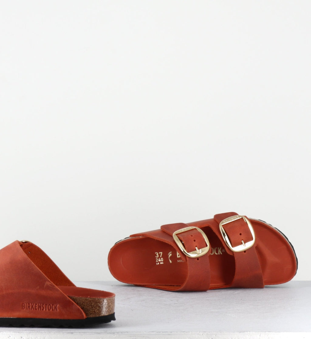 ARIZONA BB LEOI ORANGE