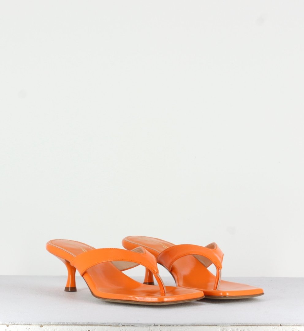 RB1075 NETTARINA