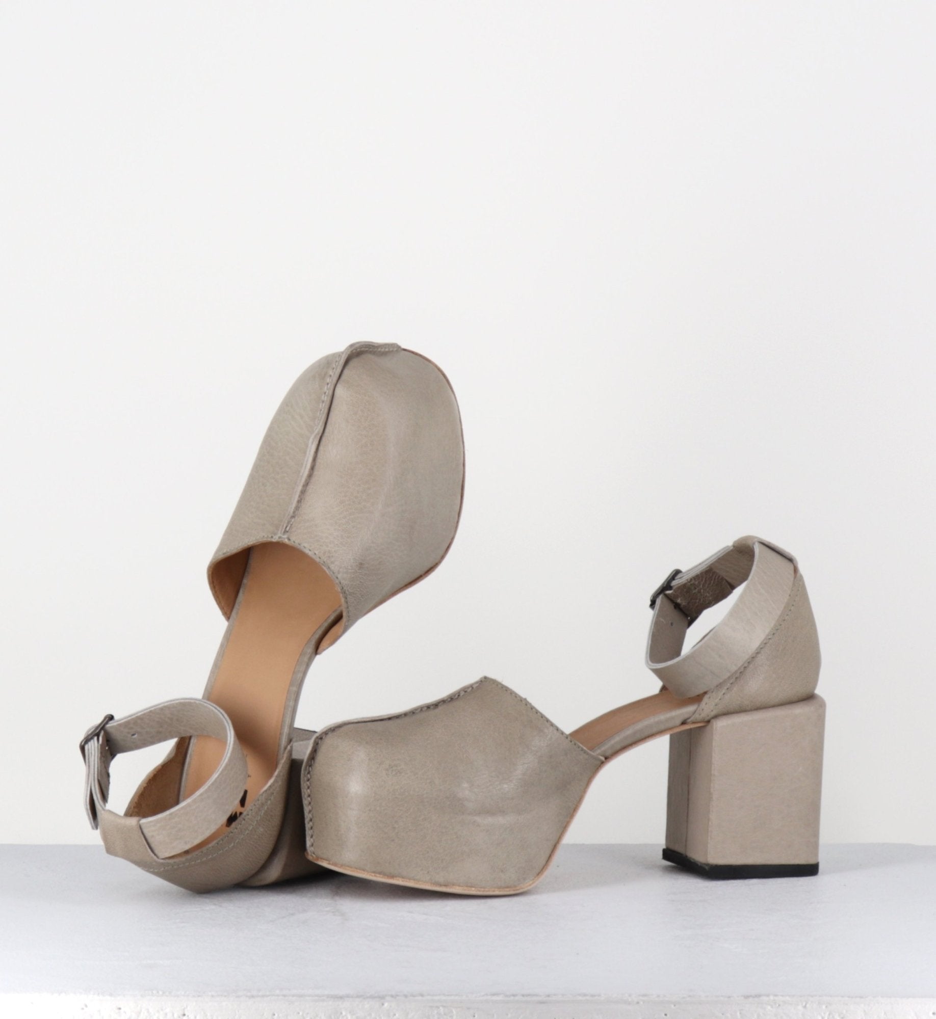 - 1GS445 SAFARI TORTORA