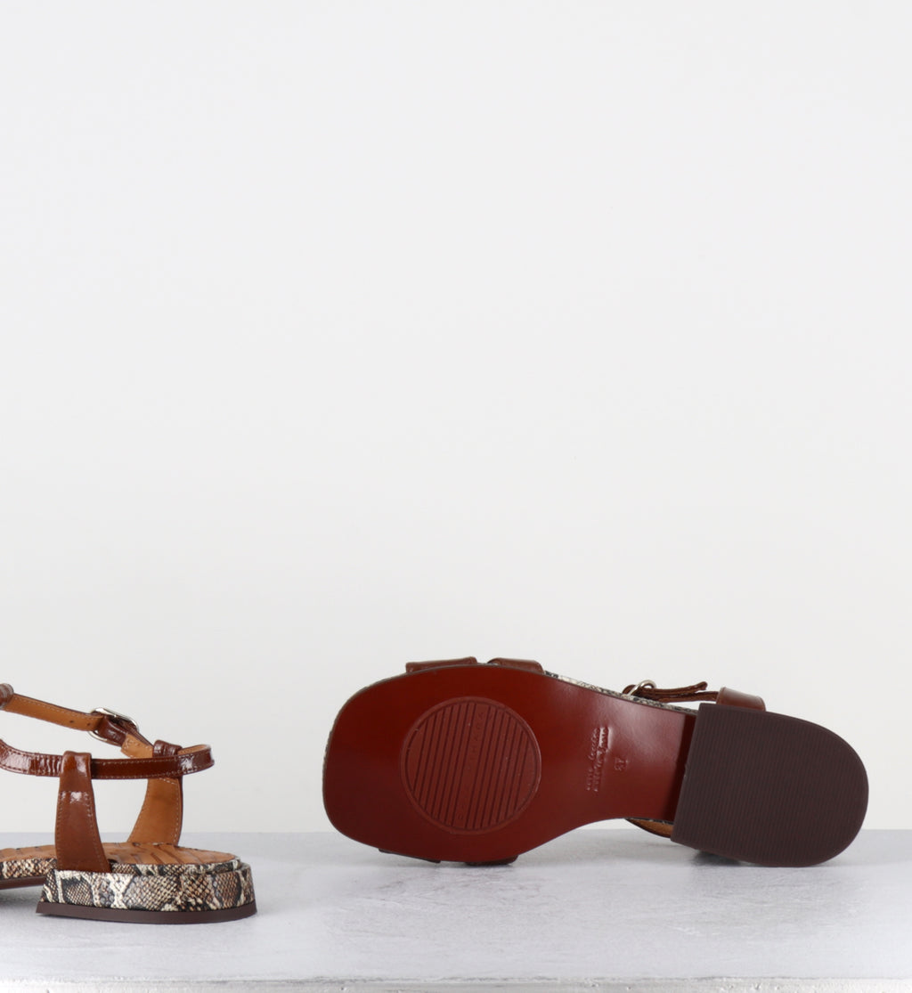 Sandales plates en cuir vernis marron et imprimé serpent - TOMEN SUCRE CASTANO