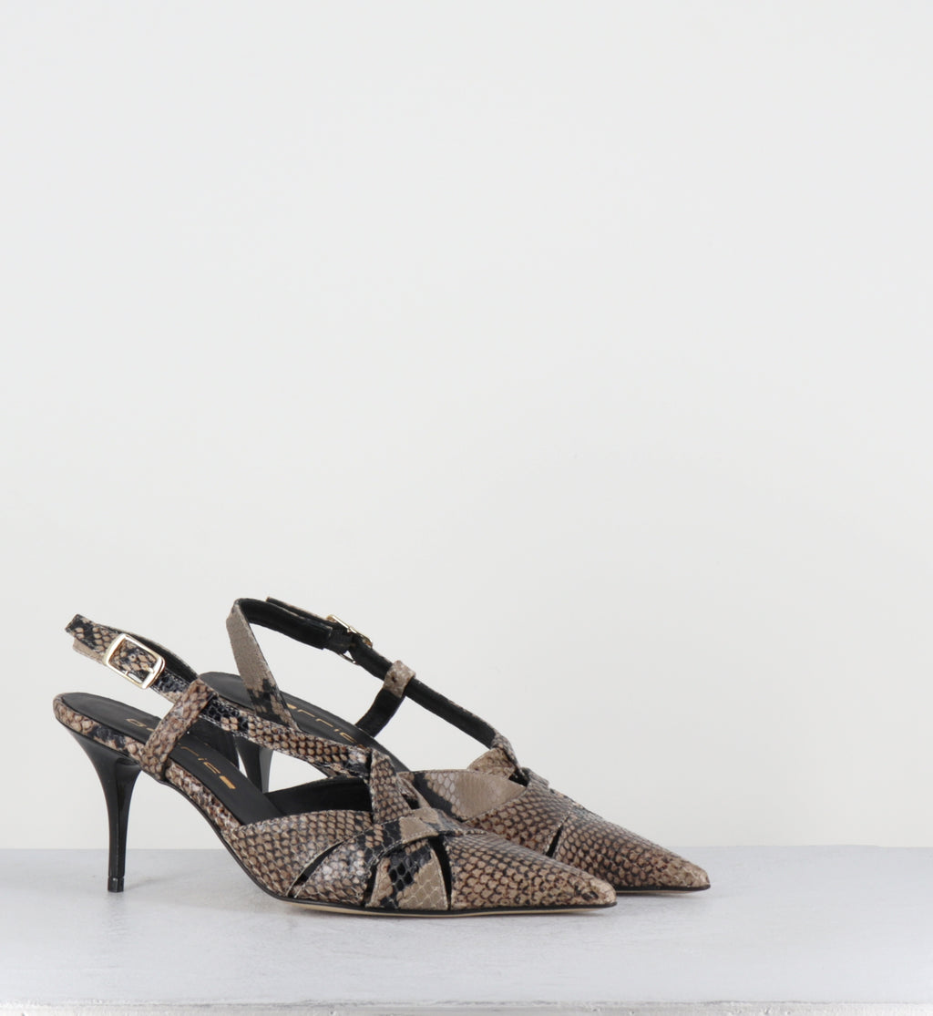 Escarpins bout pointu talon haut python beige  - IANNA PITONE BEIGE