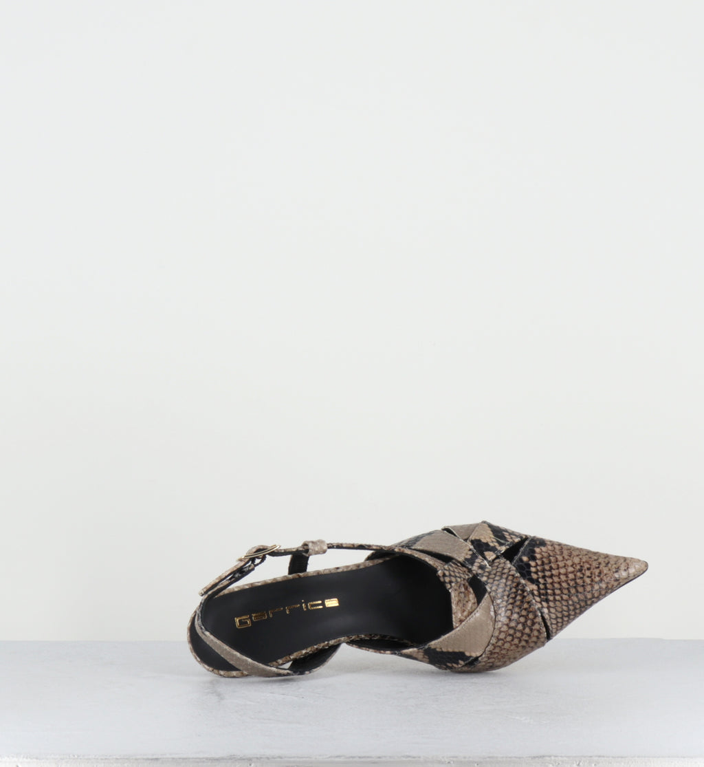 Escarpins bout pointu talon haut python beige  - IANNA PITONE BEIGE