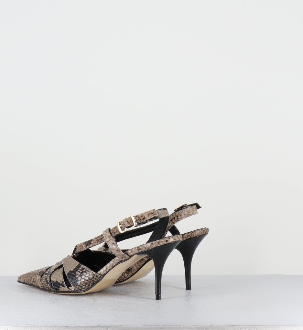 Escarpins bout pointu talon haut python beige  - IANNA PITONE BEIGE