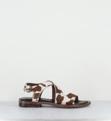 PONY