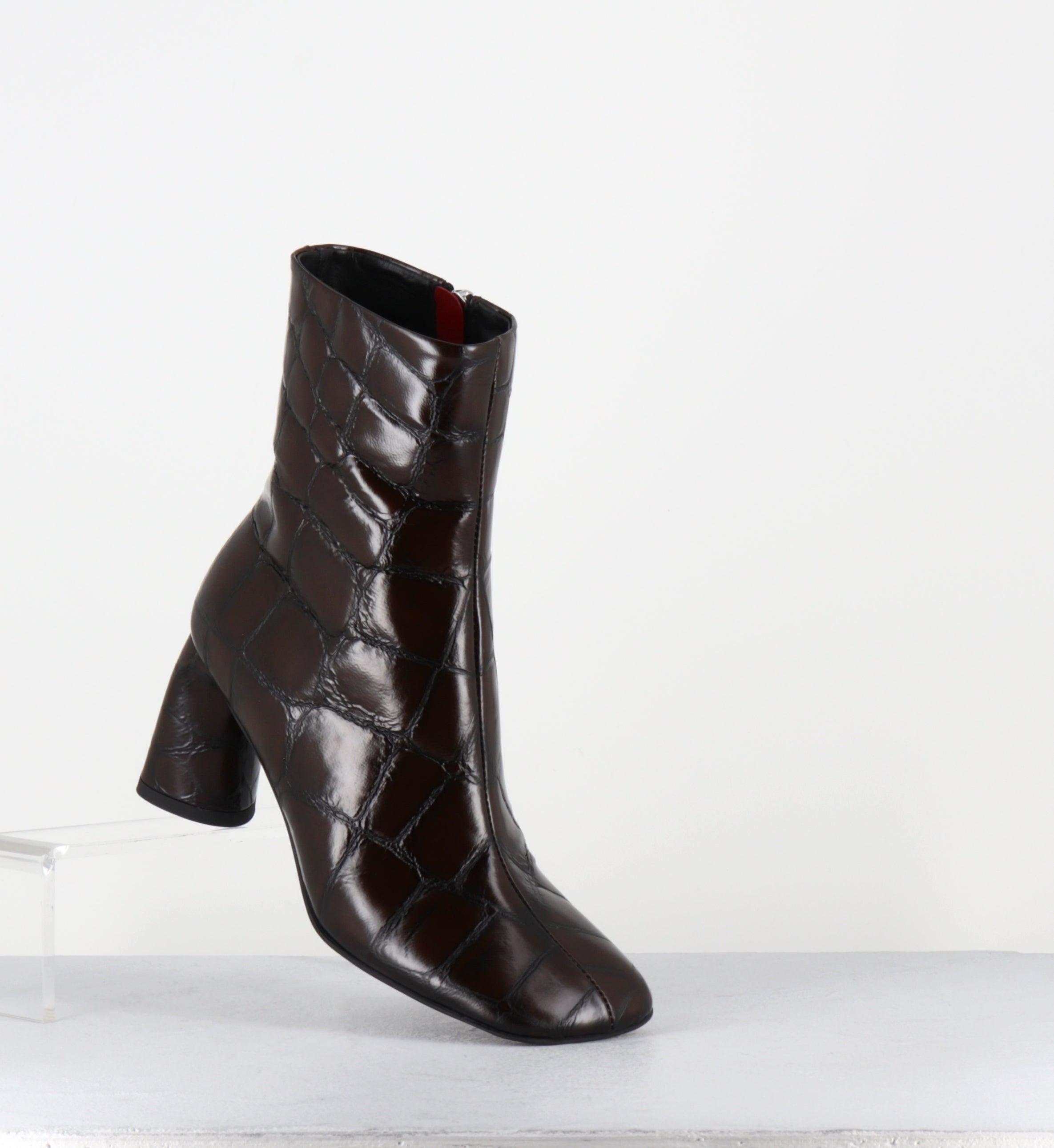 DOTTY16 COCCO T MORO