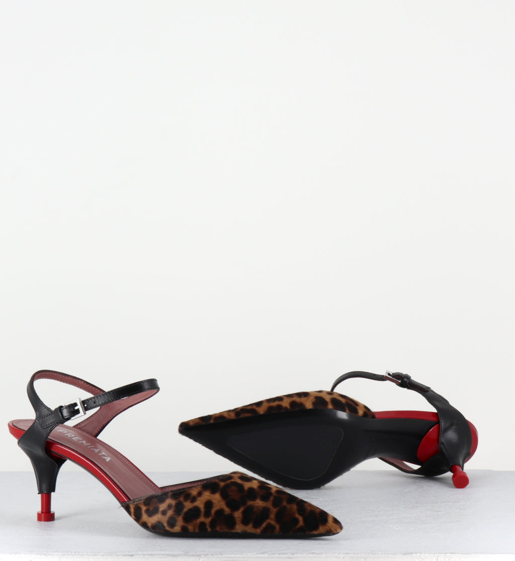 Escarpins bout pointu petit talon pony leopard 6 M7013 26 LEO MIELE