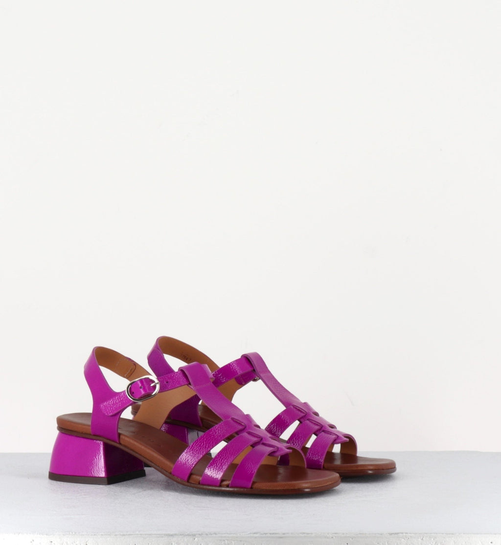 QUI-QUACA44 FERRARI PURPLE