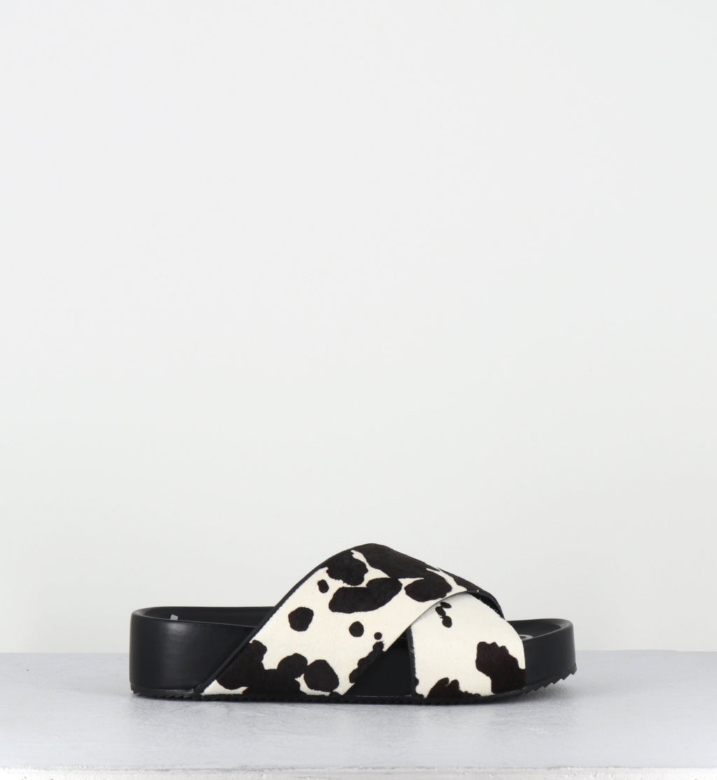 LP240 MUCCA NERO