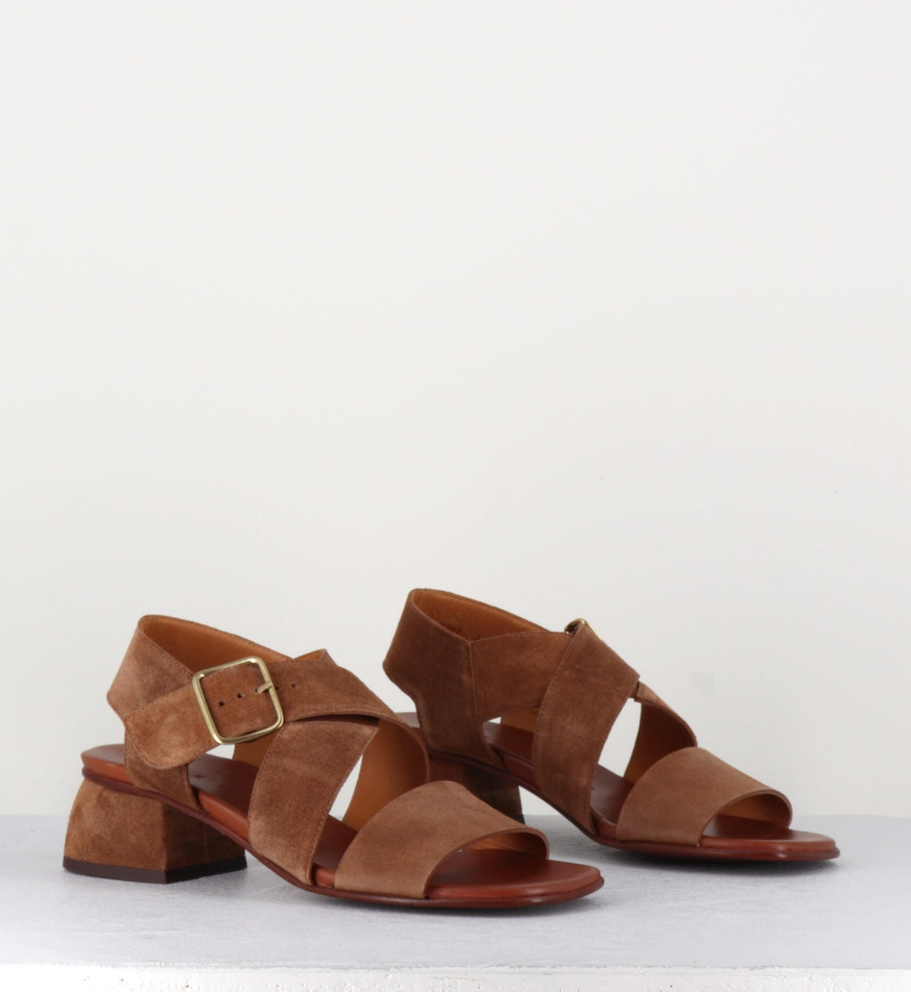 QUI-ISRAEL44 ZEUS CASTANO