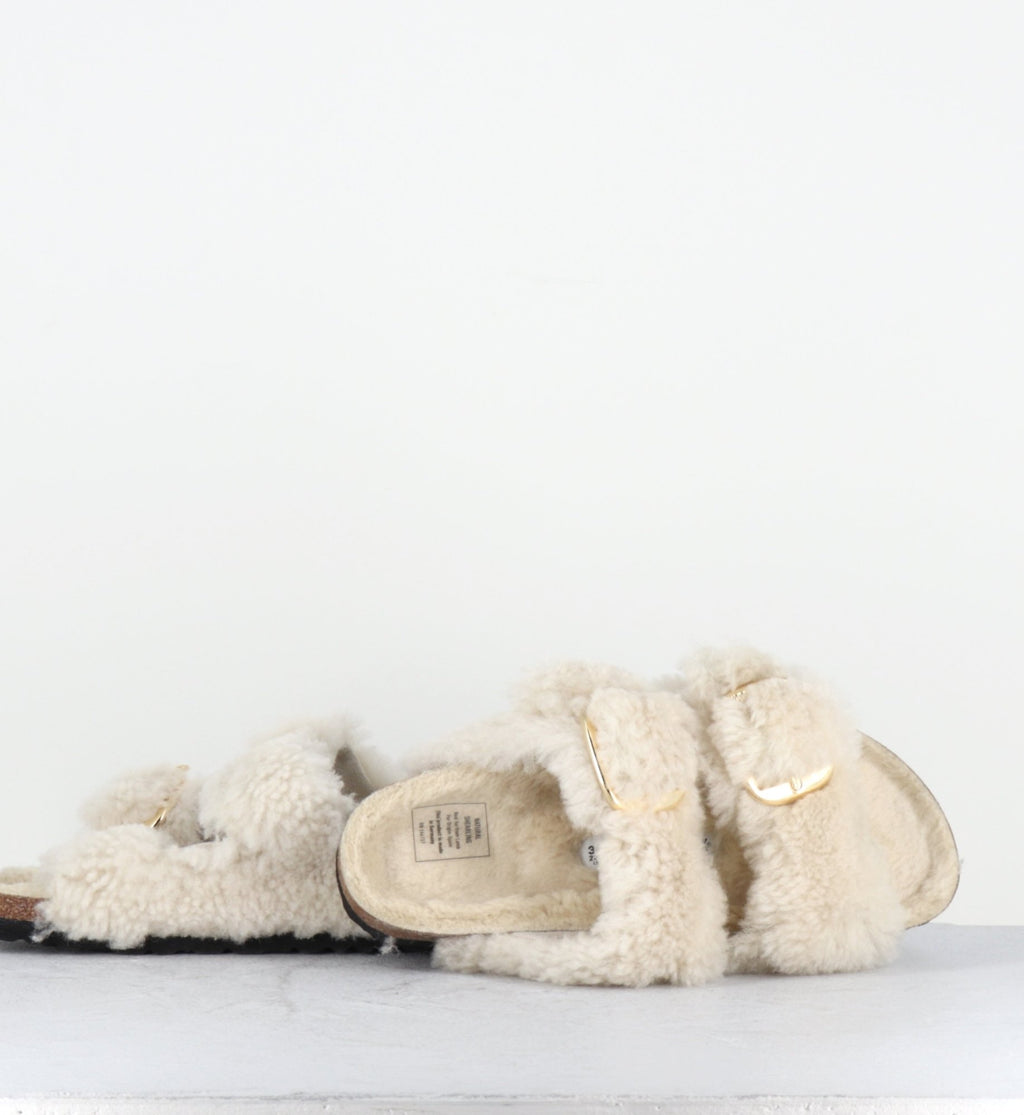 ARIZONA BIG BUCKLE TEDDY