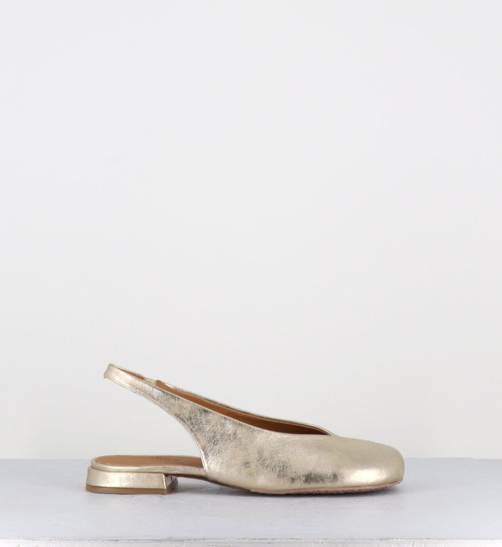 DERI INDRE CHAMPAGNE