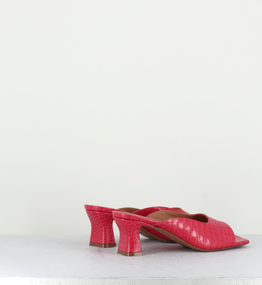 2267 COCCO FUXIA