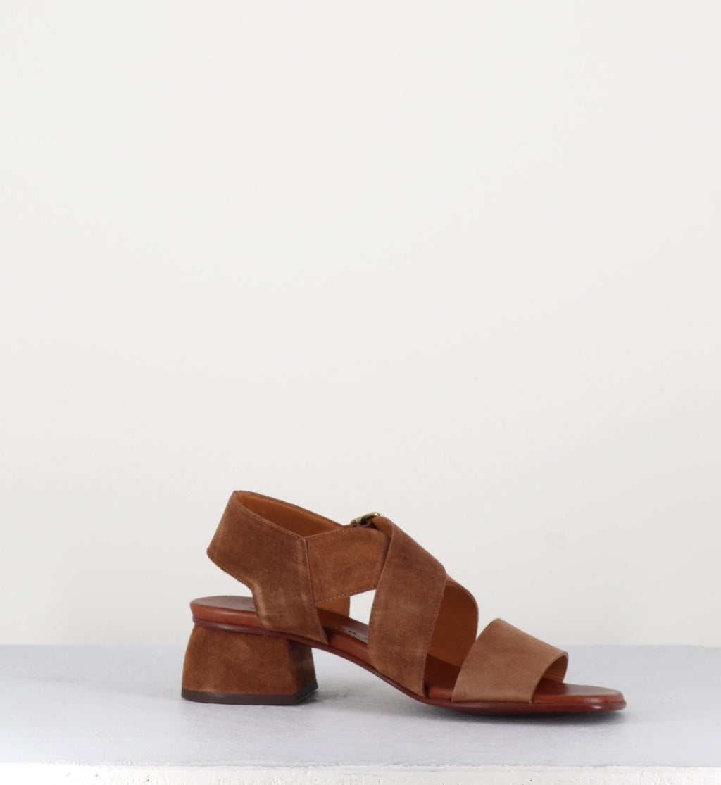 QUI-ISRAEL44 ZEUS CASTANO