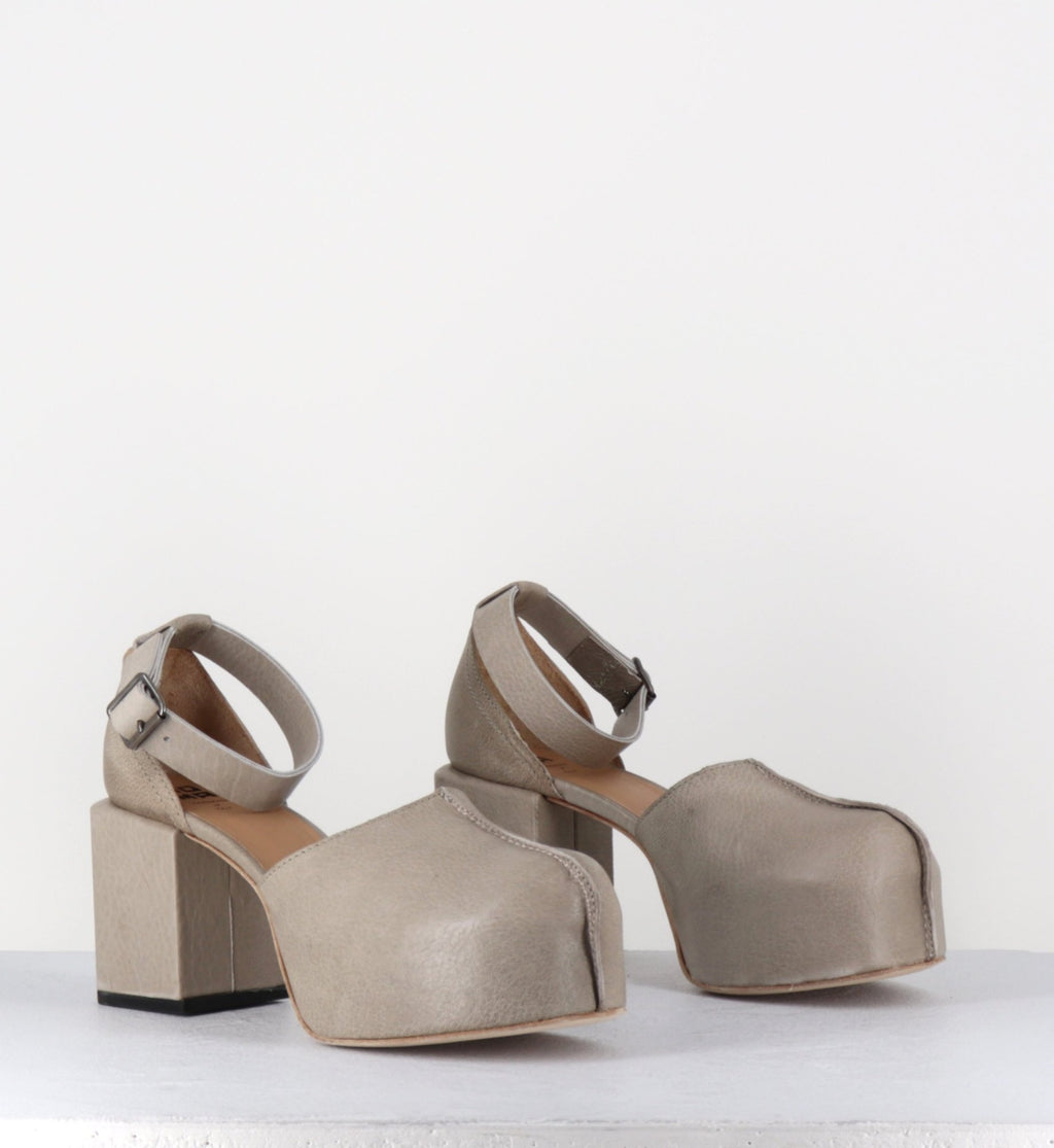 - 1GS445 SAFARI TORTORA