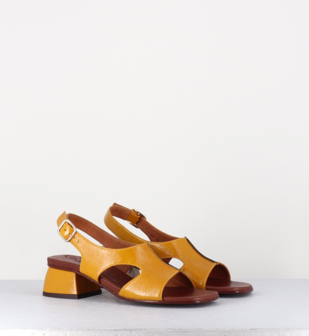 QUI-QUIANA44 FERRARI SUN