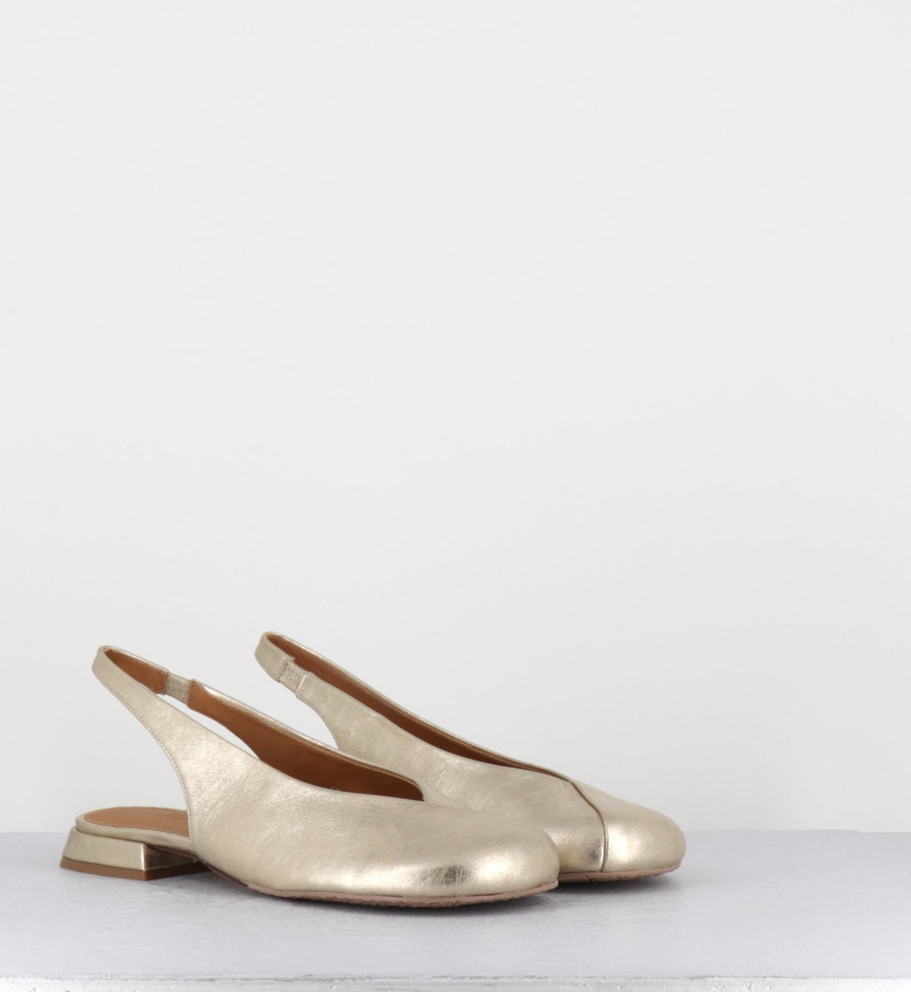 DERI INDRE CHAMPAGNE