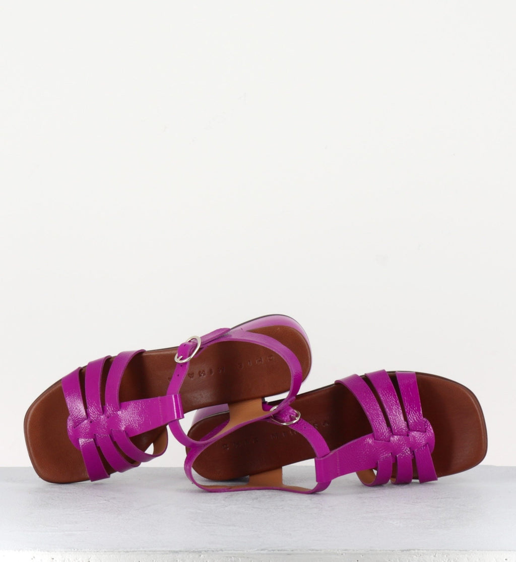 QUI-QUACA44 FERRARI PURPLE