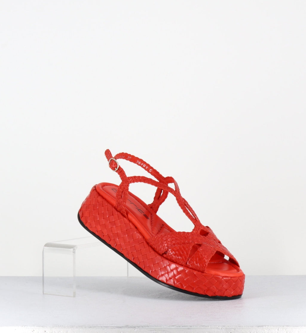 CATI25 MANDARINA TRENZ