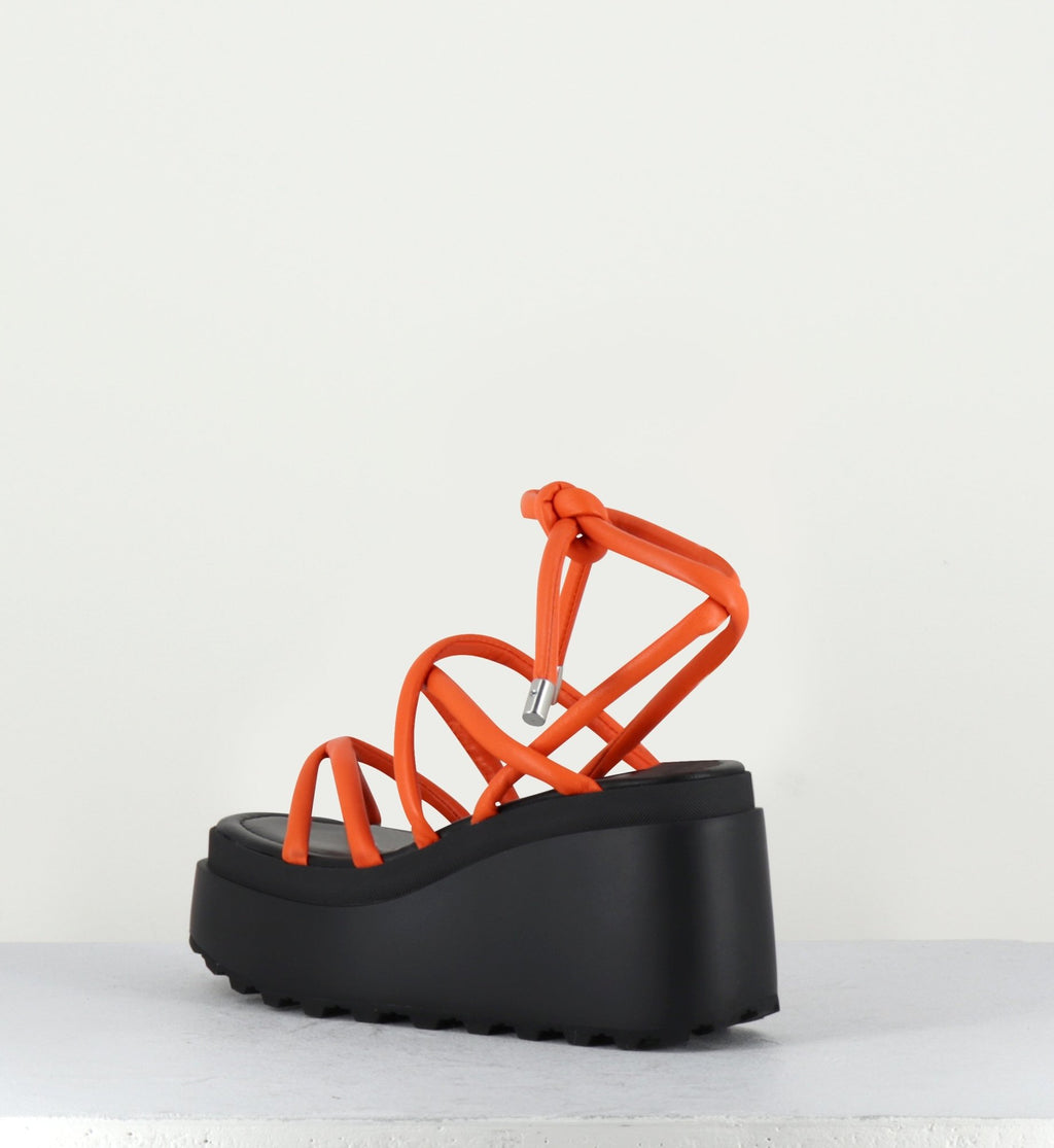 1Z5407D LOBSTER