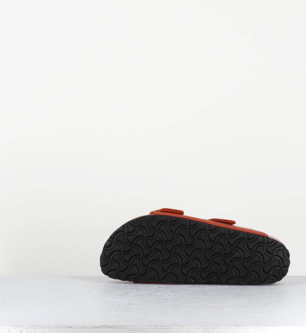 ARIZONA BB LEOI ORANGE