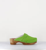 VERT