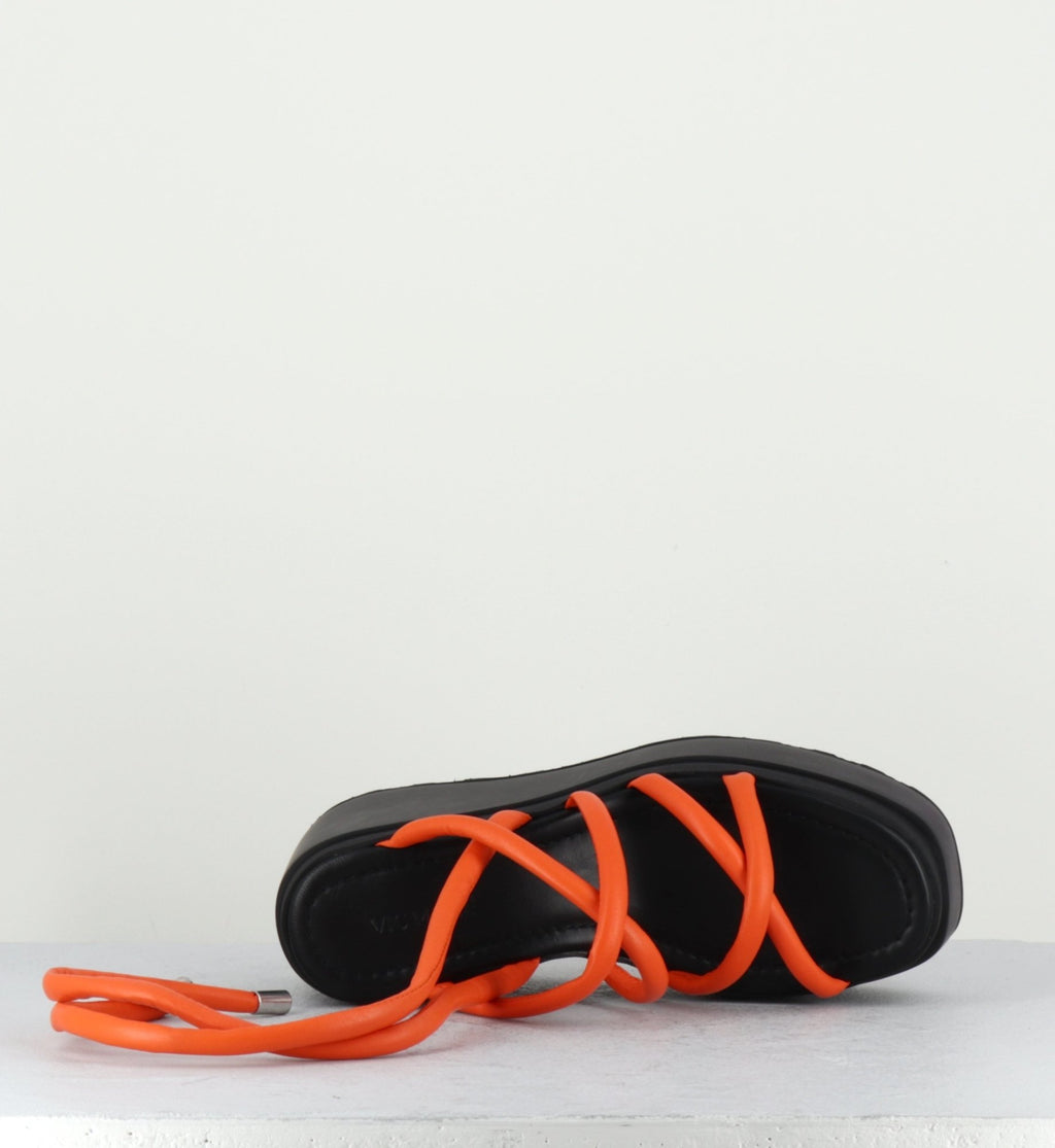 1Z5407D LOBSTER