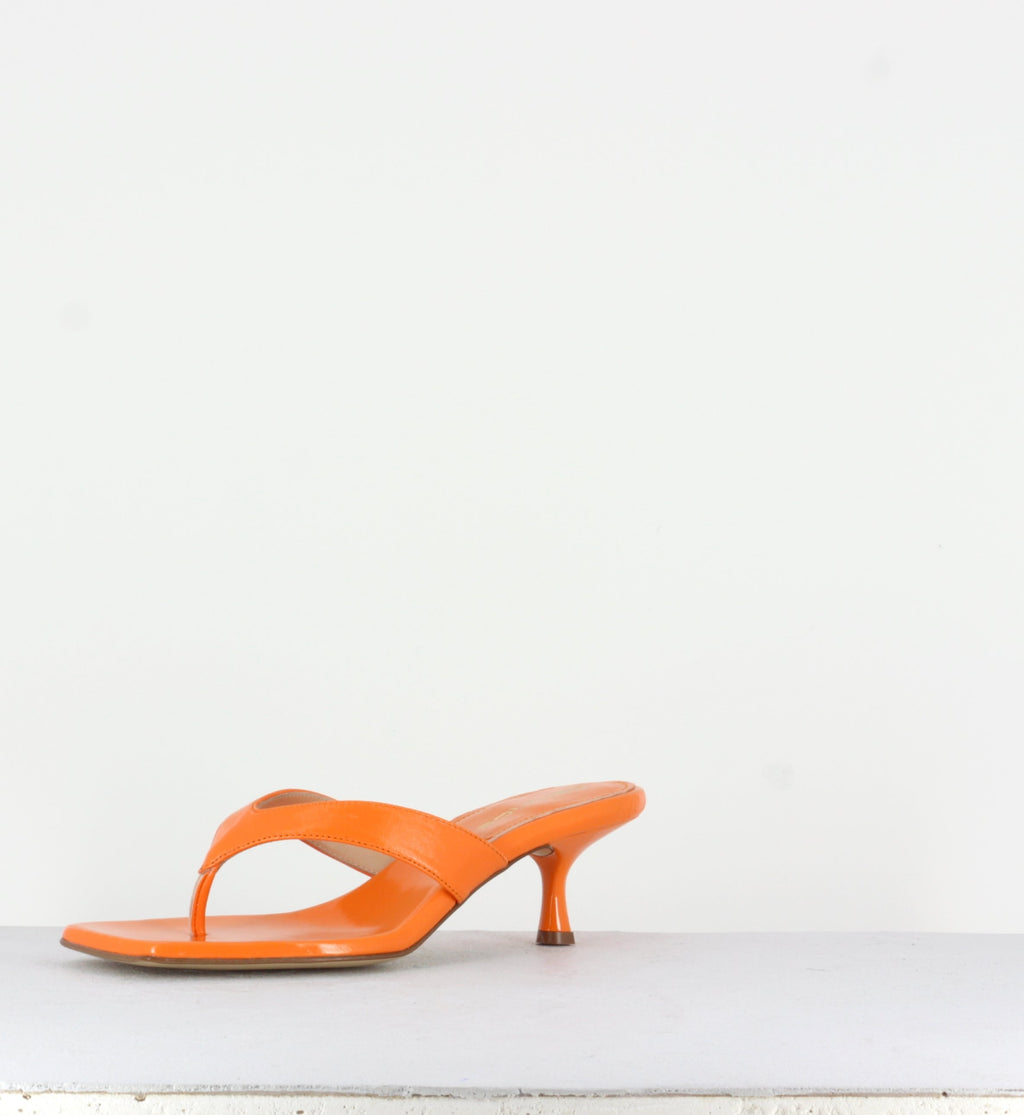 RB1075 NETTARINA