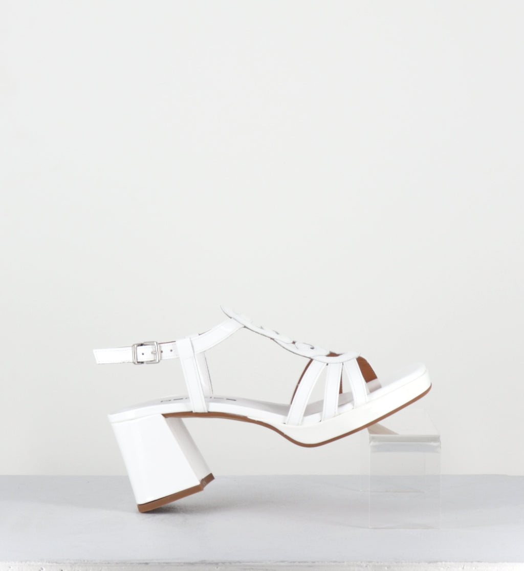 TAGA24 VERNICE BIANCO