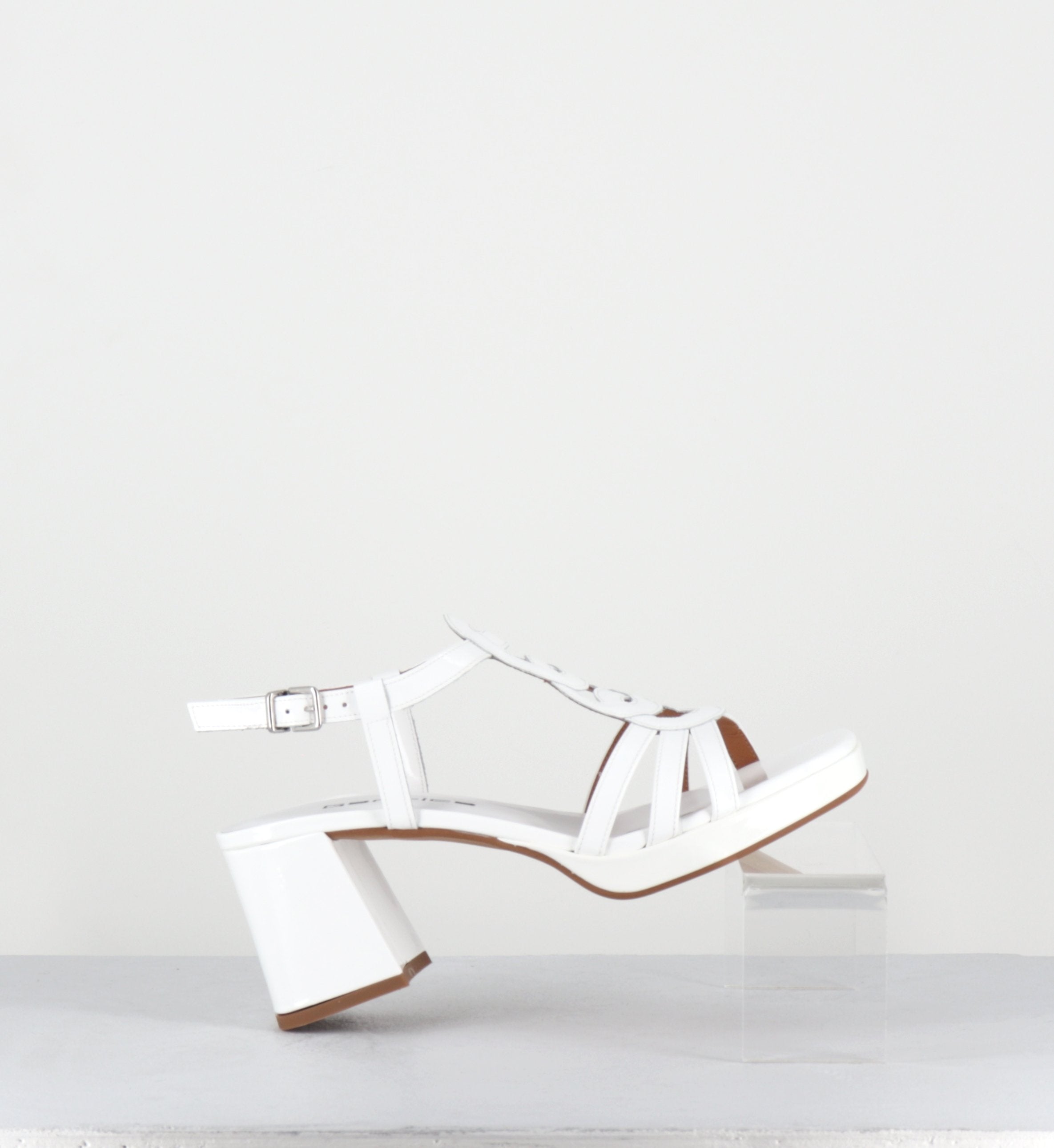 TAGA24 VERNICE BIANCO
