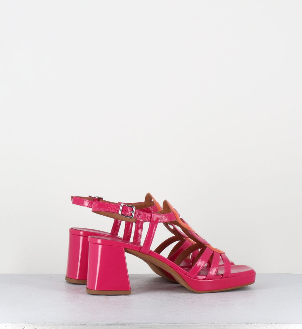 TAGA24 FUXIA ORANGE