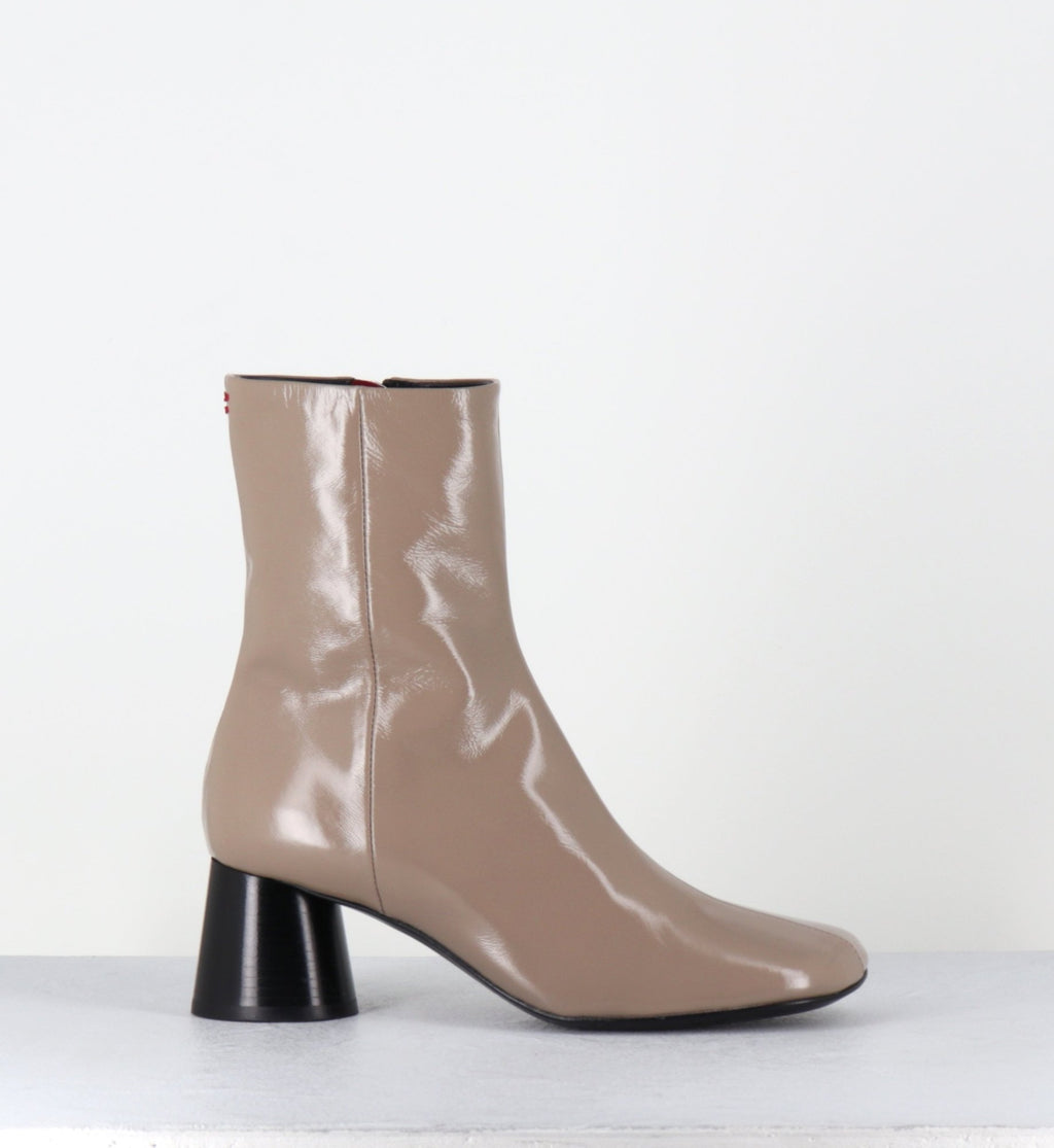 DANI04 GLAZE TORTORA