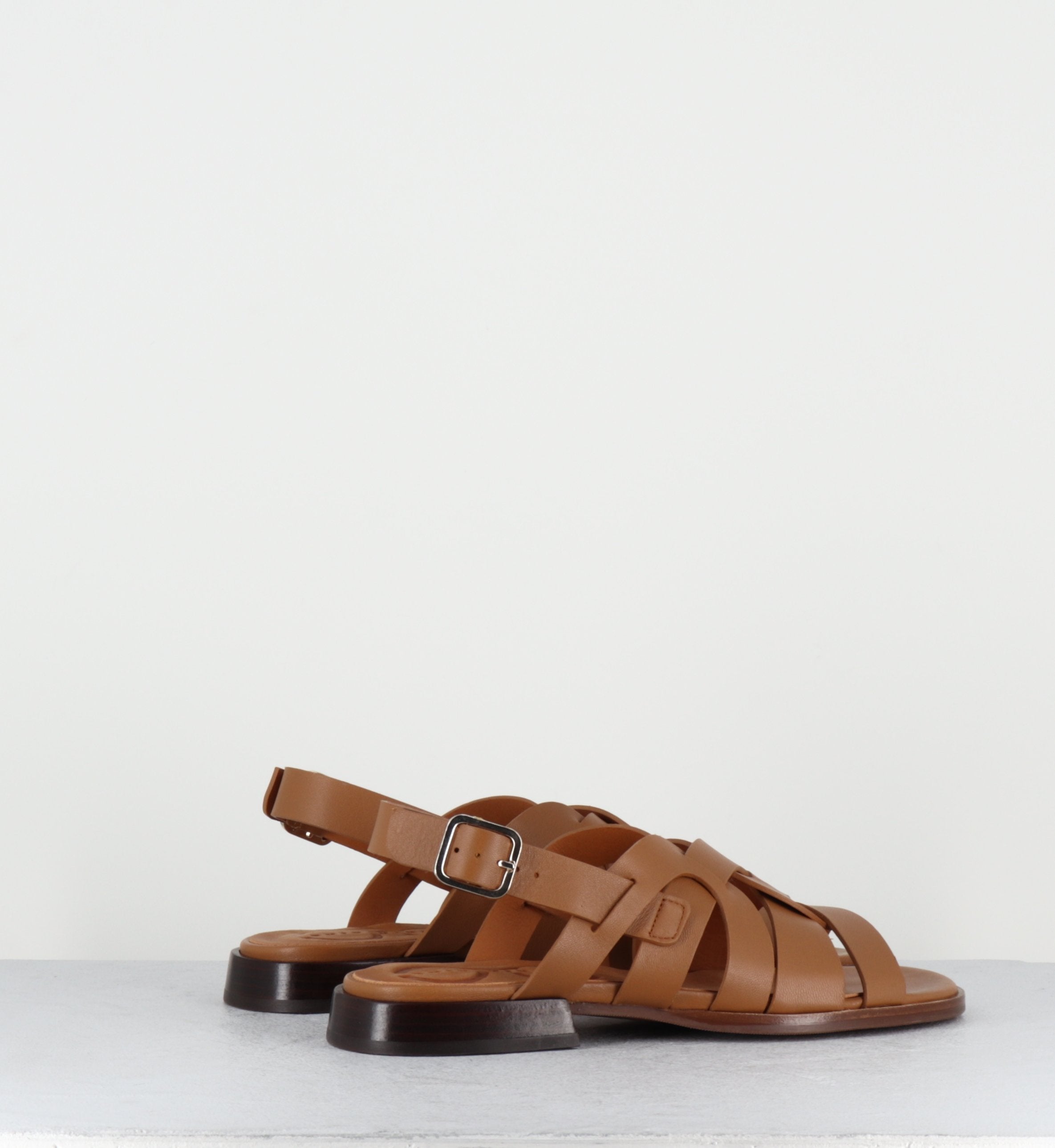 WALAI LINDA CAMEL
