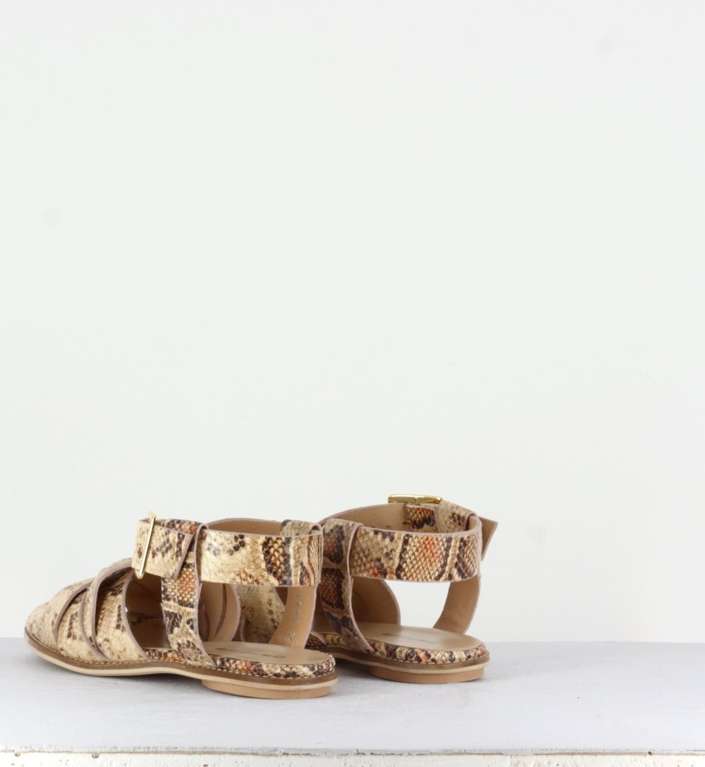 2505 BLUSSON
