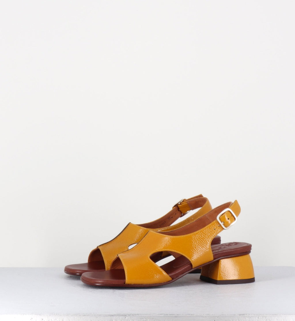 QUI-QUIANA44 FERRARI SUN