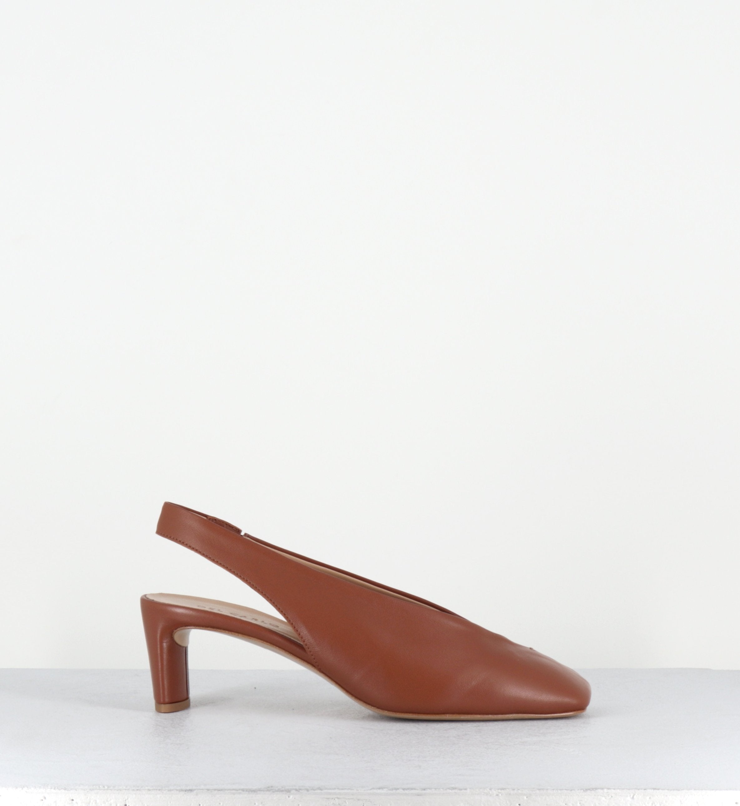 11902 GLAMOUR CANNELLA