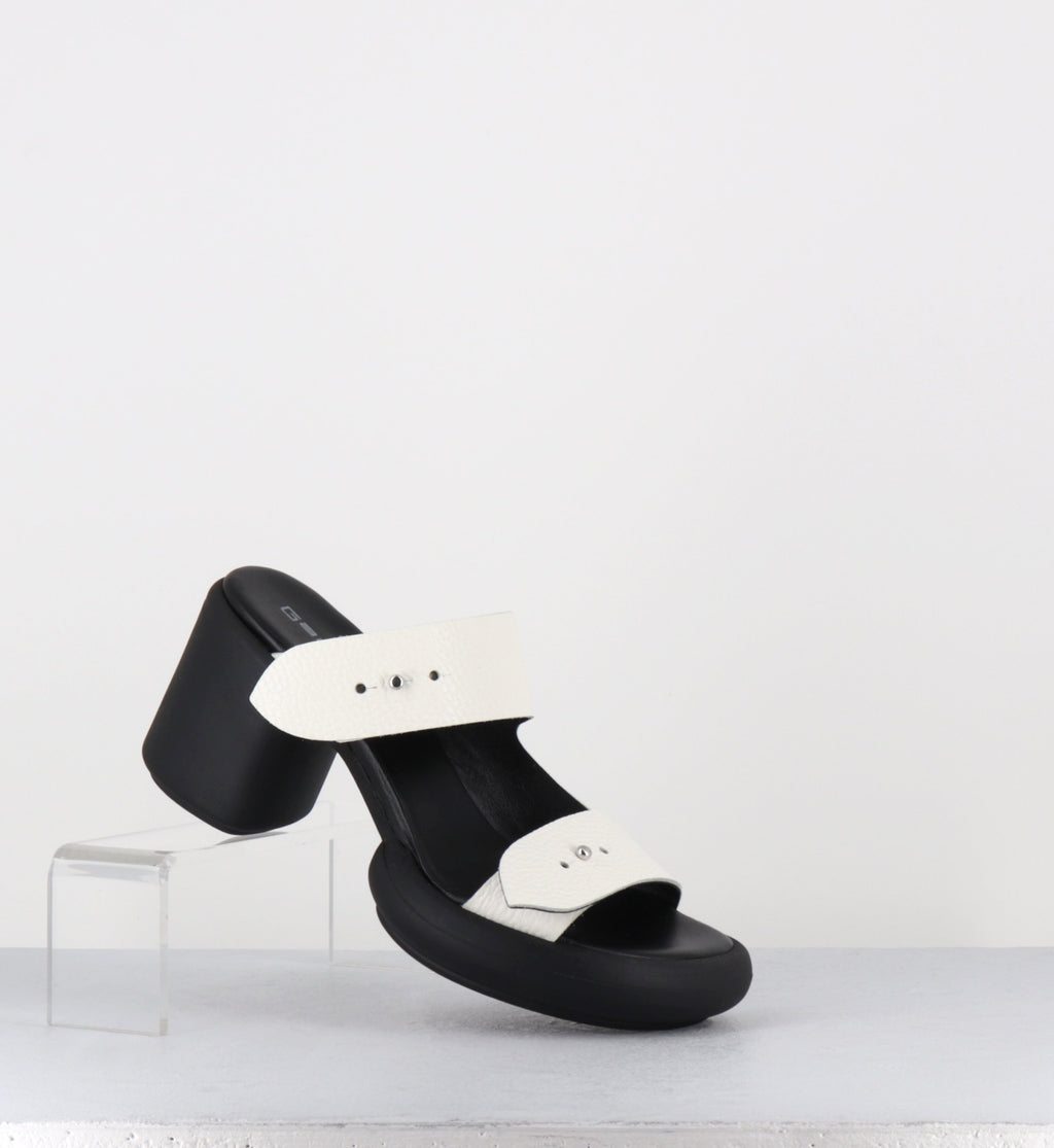 ALIANO CORONA BIANCO