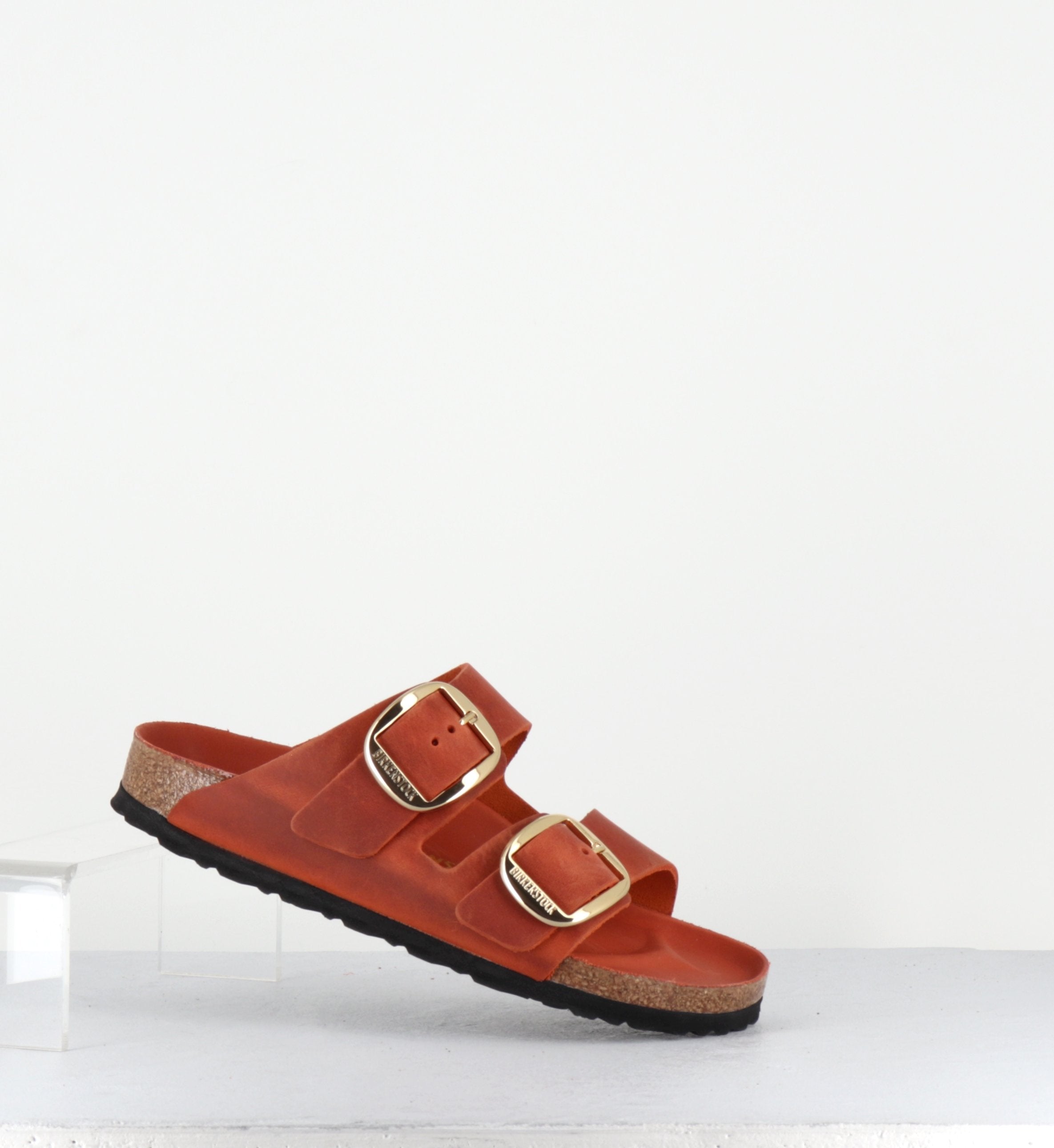 ARIZONA BB LEOI ORANGE