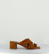 CAMEL