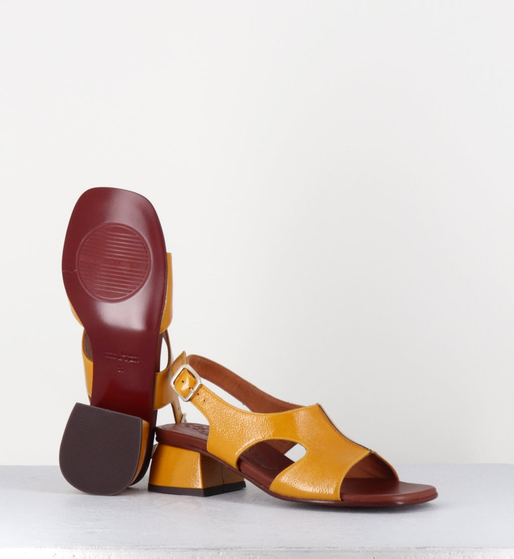 QUI-QUIANA44 FERRARI SUN